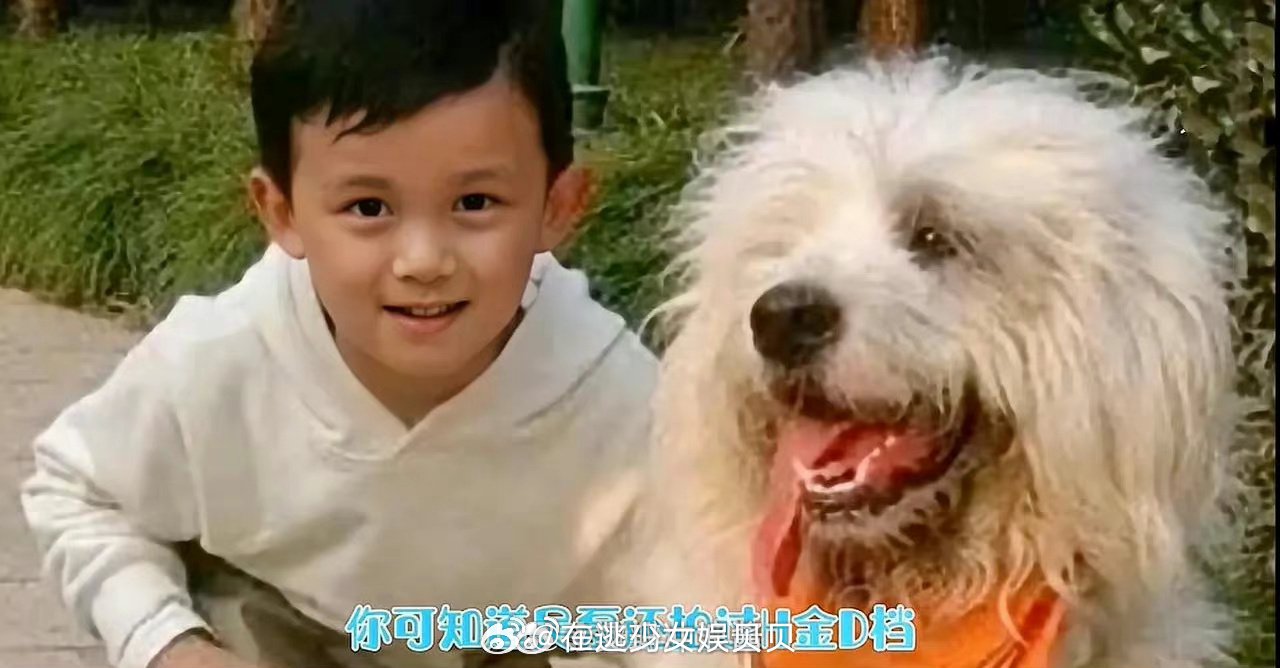 不会只有我一个人才发现这个油漆广告吧