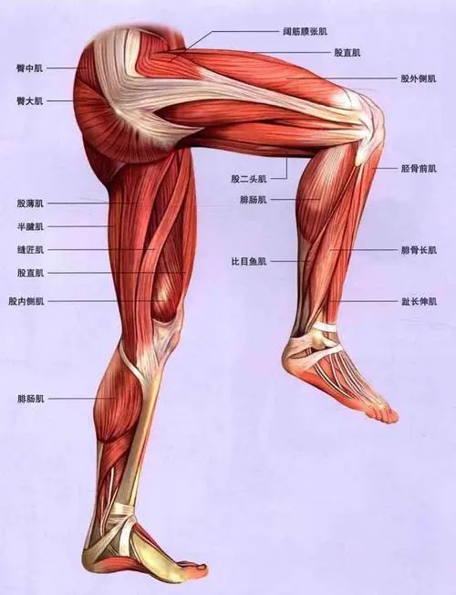 张韶涵“黑丝漫画腿”吓坏网友：这腿长比例是真实存在米乐M6 M6米乐的(图3)