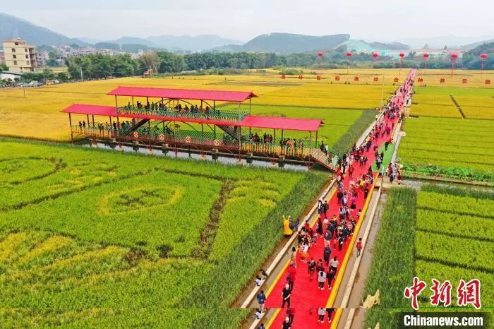 广西中粮生物能源有限公司
