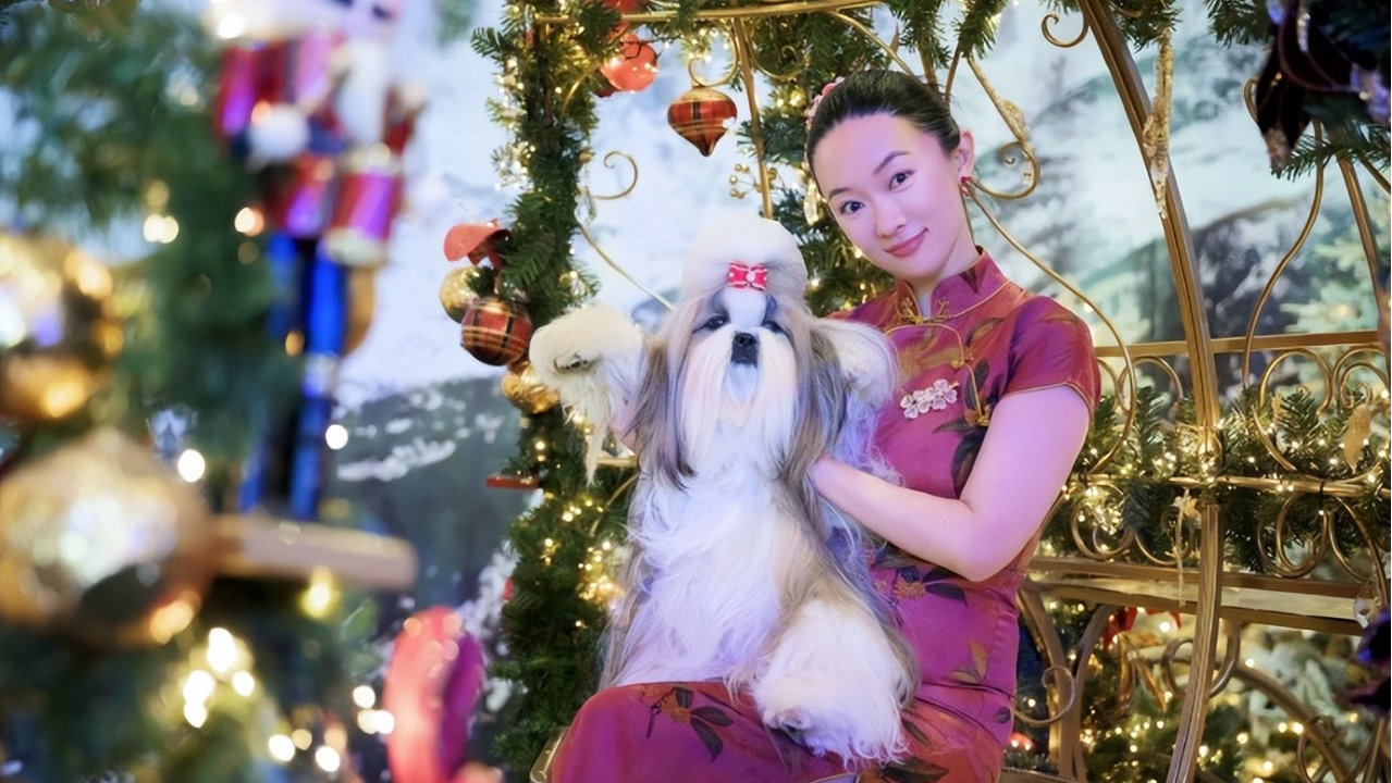 霍思燕爱犬在国际比赛夺冠，杜江发文：开心疯了！创造历史！