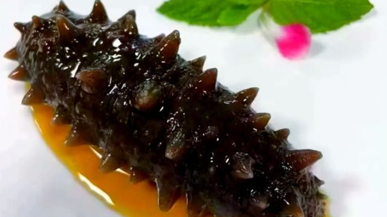 黑色的海参才是好海参吗？