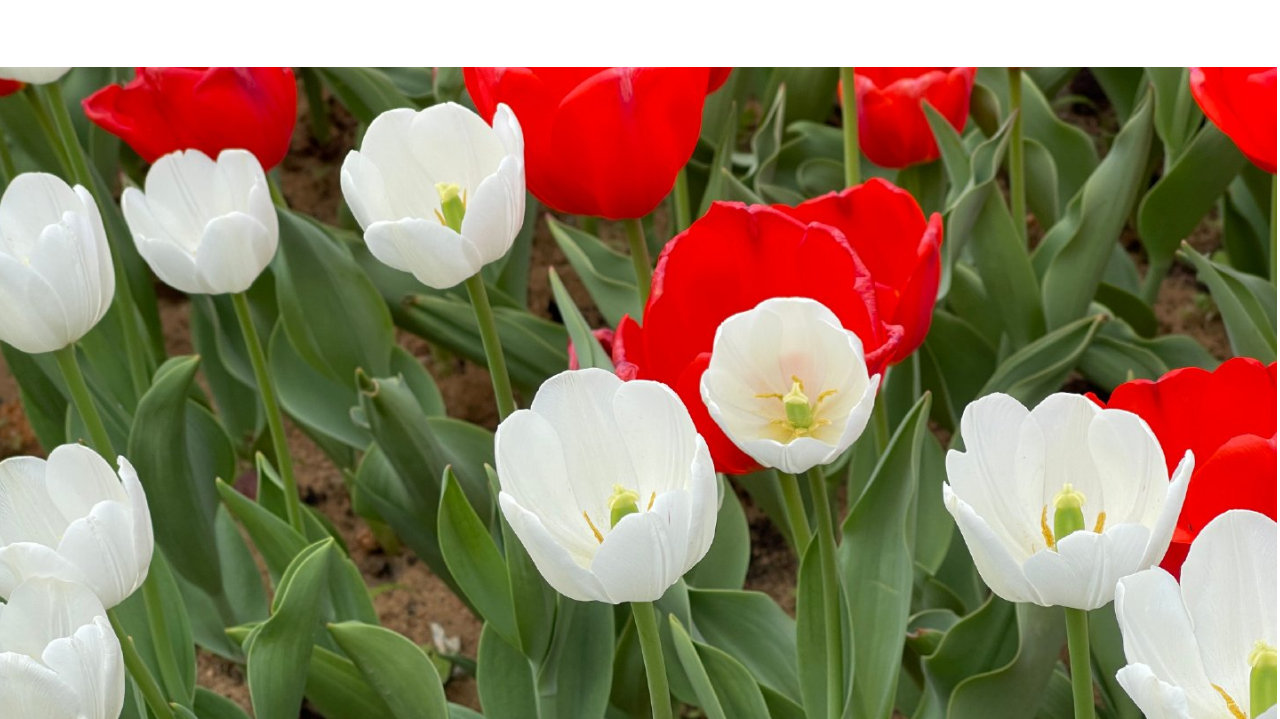 国资算力新势力崛起：福田国资8亿元入股粤港湾控股