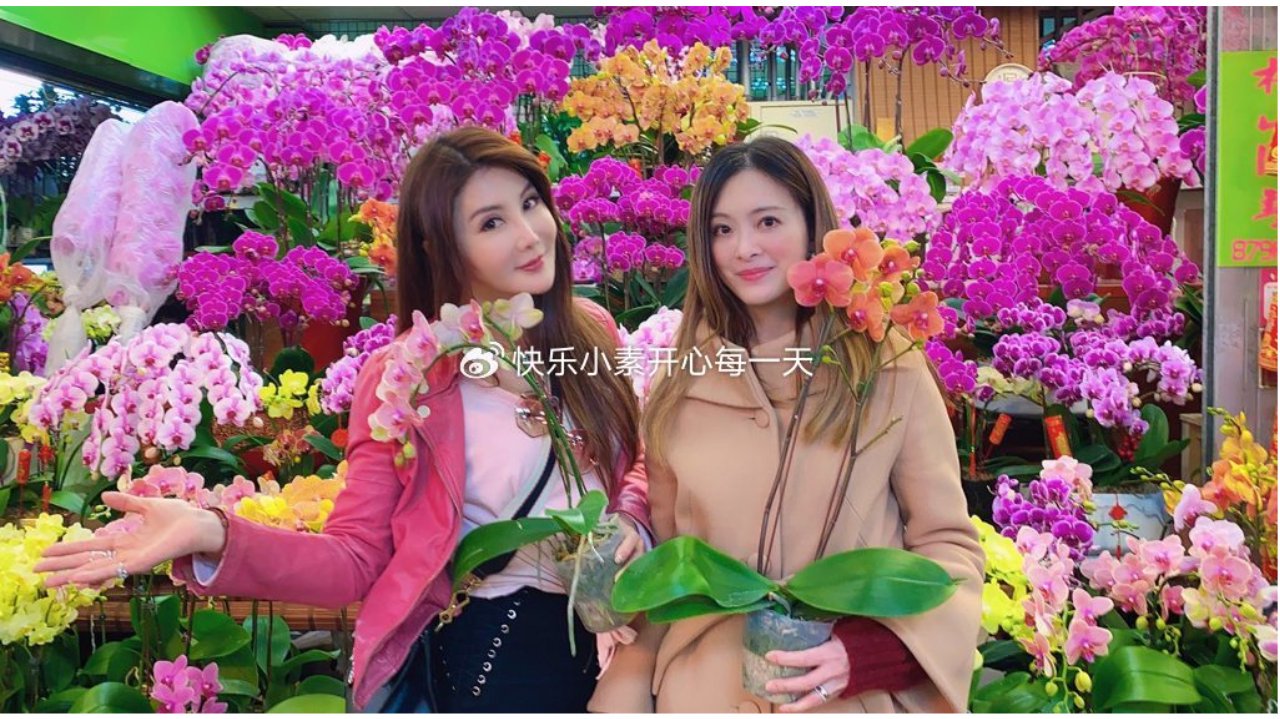 刘真离世6周年，20年挚友杨丽菁分享照片，感慨她在记忆里闪耀