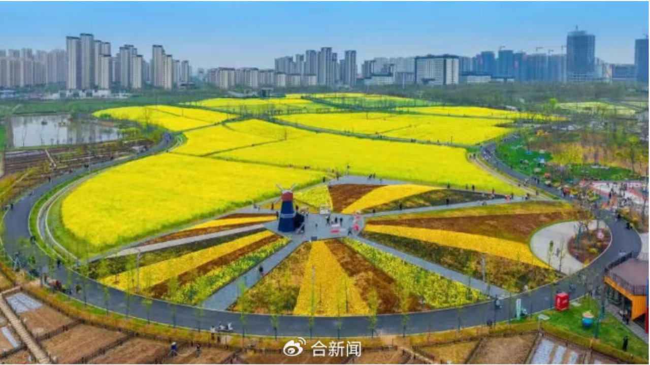 在合肥6999元认养一亩田