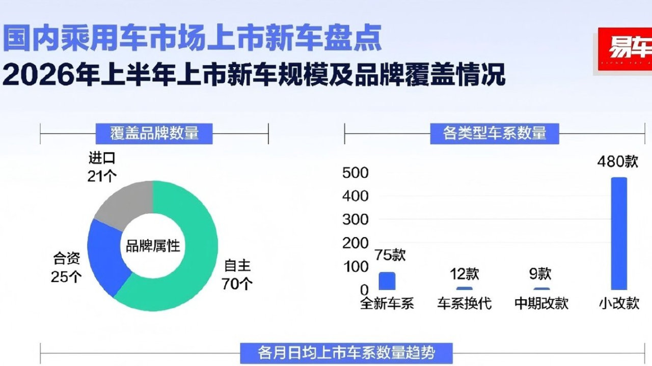 从“产品海啸”到“价值孤岛” 中国车市狂飙与迷失的180天