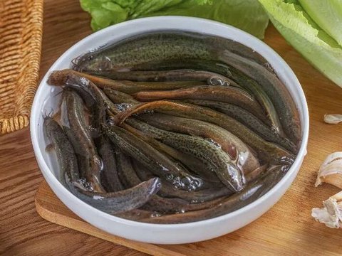 补钙又补铁，这种经常被嫌弃的鱼其实很有营养