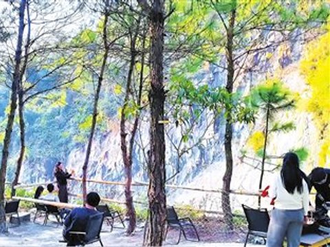 一杯“村咖”激活一方经济