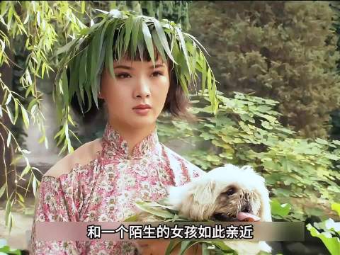 《大宅门》女孩只是无意中逗了一下狗，没想到被豪门老太太看中