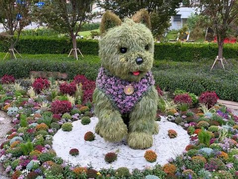 天凉了,“潦草小狗”换秋装啦,新背心毛茸茸!2026上海菊花展示活动静安分会场即将启幕 天凉了,“潦草小狗”换秋装啦,新背心毛茸茸!2026上海菊花展示活动静安分会场即将启幕