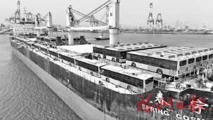 百台定制化天然气公交车　从烟台港出口墨西哥