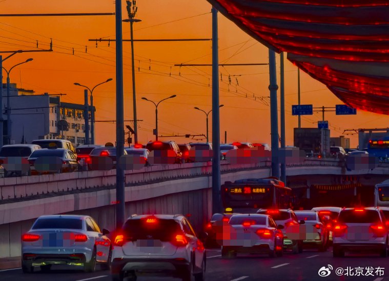 朝旭染车龙，一花一鸟总关情