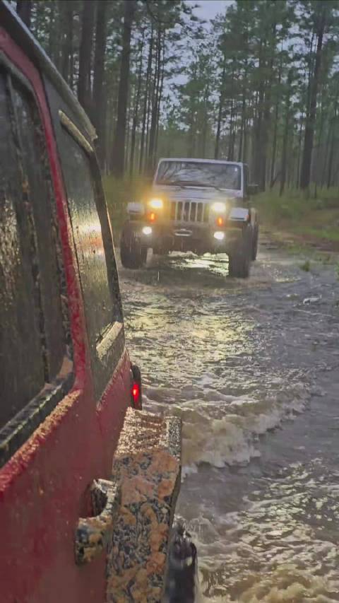 带着好兄弟一起到森里里露营