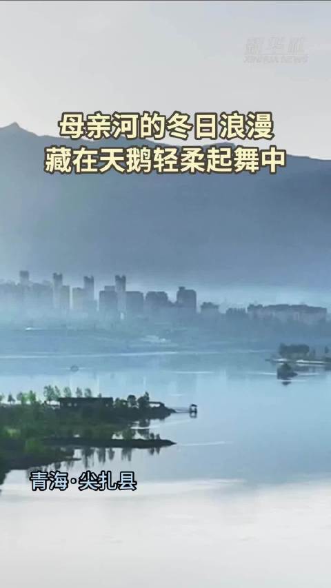 母亲河的冬日浪漫 藏在天鹅轻柔起舞中
