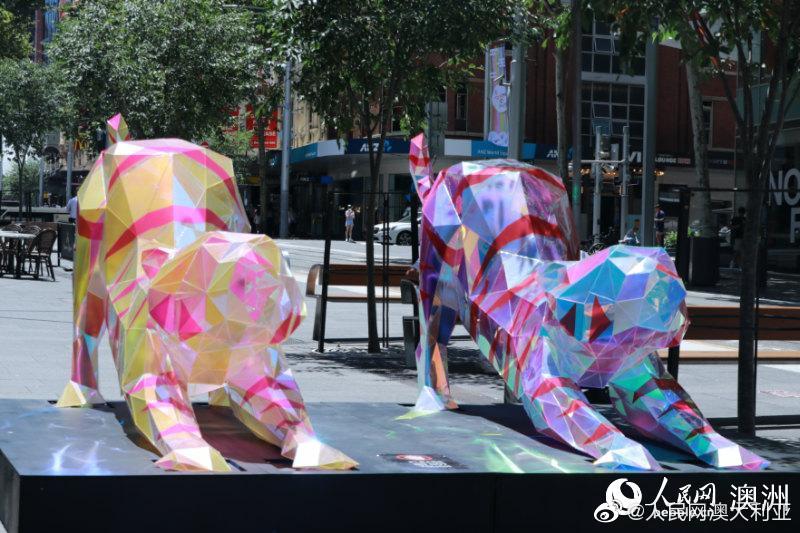 组图：悉尼街头设十二生肖花灯庆祝中国农历虎年