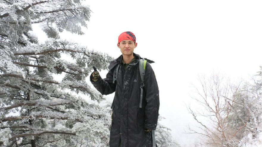 秦岭生态旅游：动植物分布与景点探索