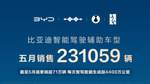 智驾市场格局生变，比亚迪凭超 23 万辆销量强势领跑