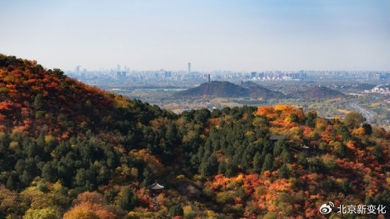 越秀北方丨北京释放重磅利好！海淀香山大平层优质资产价值凸显