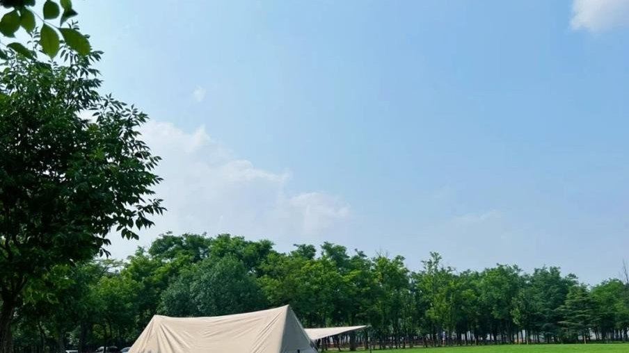 “氢”力合作，苏州金龙联手上氢能源、农青客运勇当“碳路先锋”