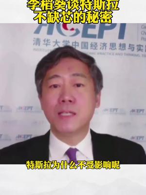 李稻葵谈特斯拉不缺芯的秘密  特斯拉