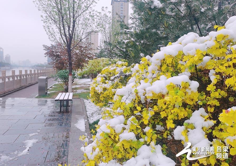 吕梁：暴雪、道路结冰预警！部分高速管制！