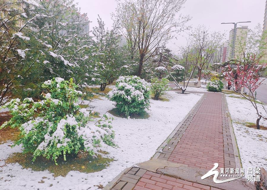 吕梁：暴雪、道路结冰预警！部分高速管制！