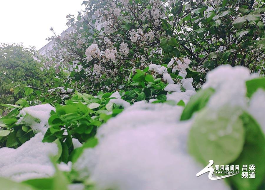 吕梁：暴雪、道路结冰预警！部分高速管制！