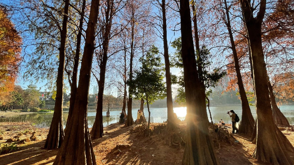 应星控股(01440)：从制造基石到文化引擎的破局之路