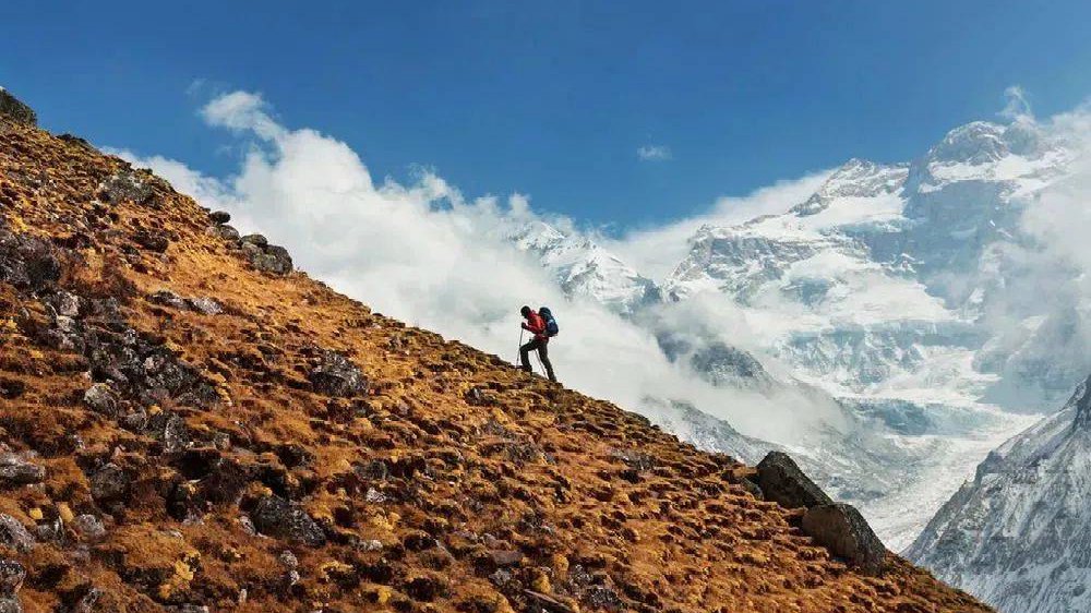 500快餐现象解析：当代都市人的时间与金钱如何博弈