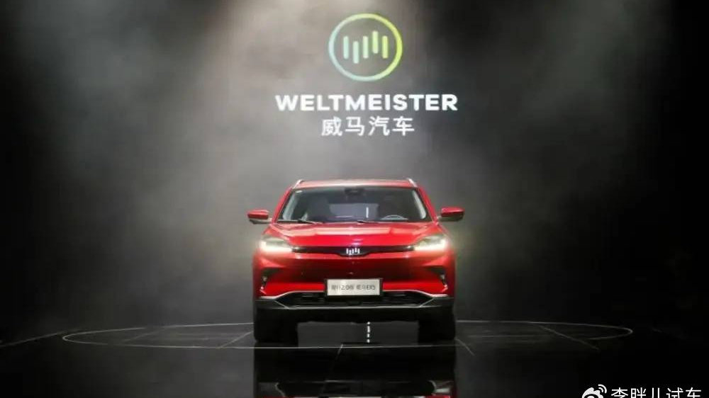 屋漏偏逢连夜雨？保养、保修无门的威马车主，连车损险都买不了了