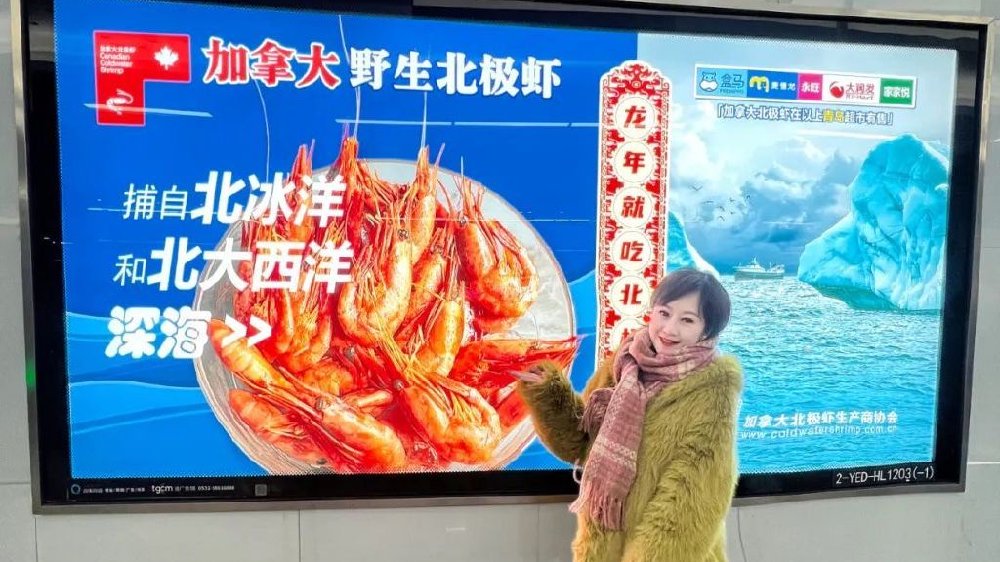 加拿大北极虾探店青岛篇：博主偶遇地铁广告，地上地下双向营销！