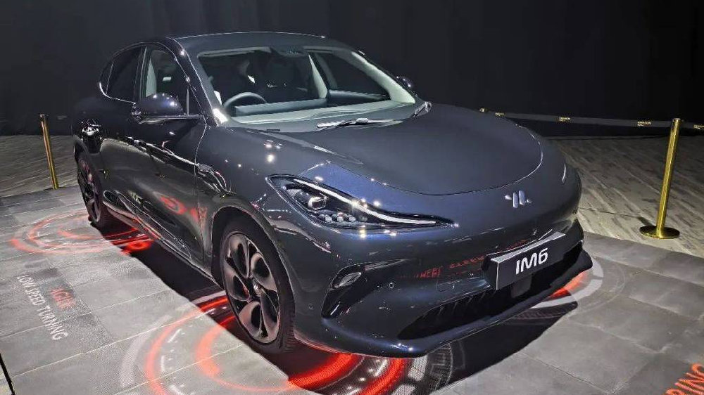 探寻海外“众生相”，多国市场中的中国汽车面临哪些挑战？