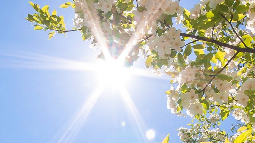 5万以内SUV混动与纯电怎么选？2025六款热门车型全维推荐