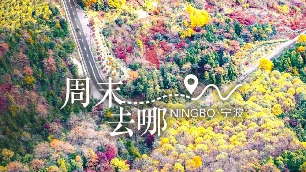 四明山，最美的时候到了