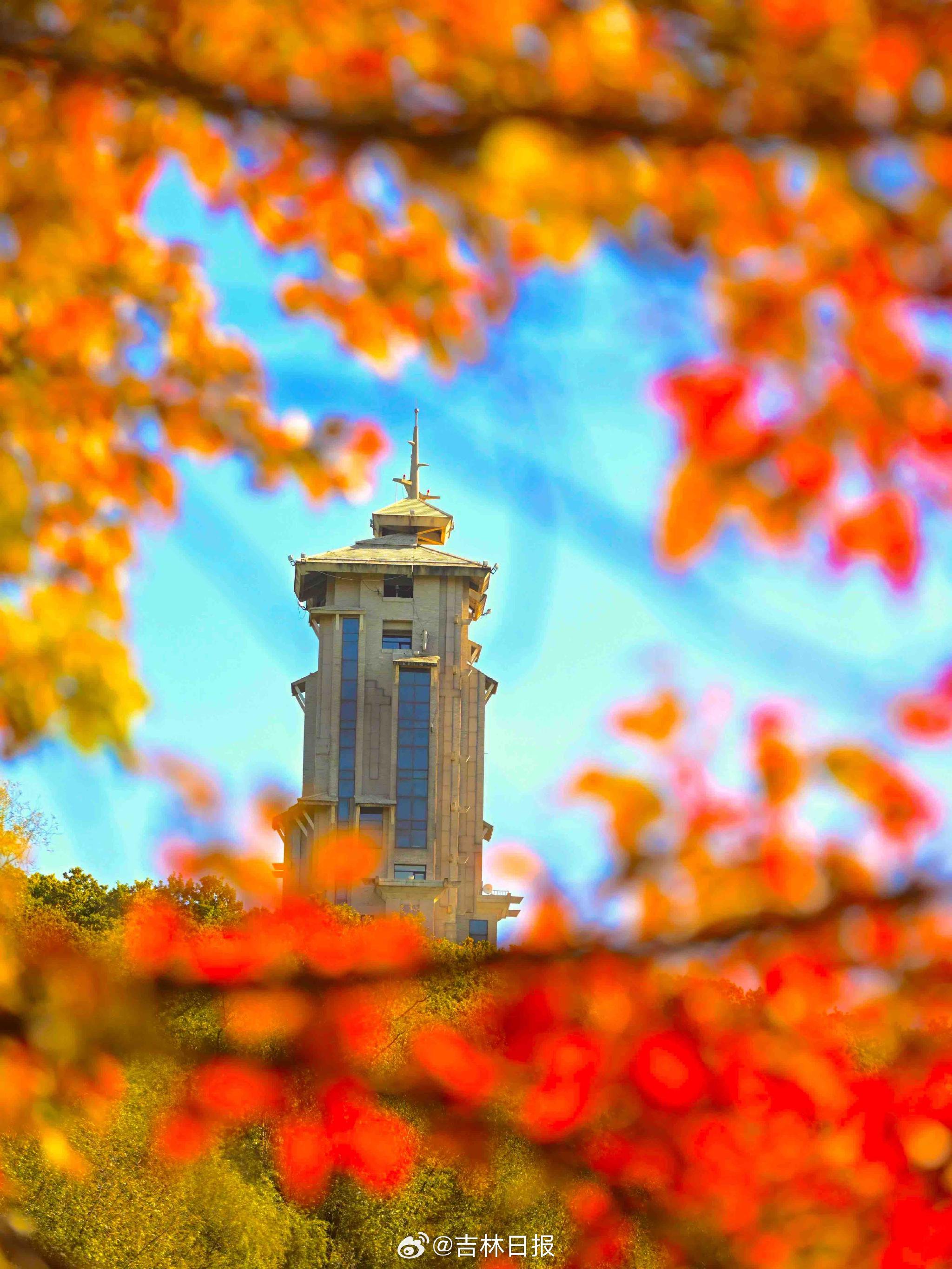秋之彩色吉林 | 净月潭层林尽染，《人世间》的诗意来袭