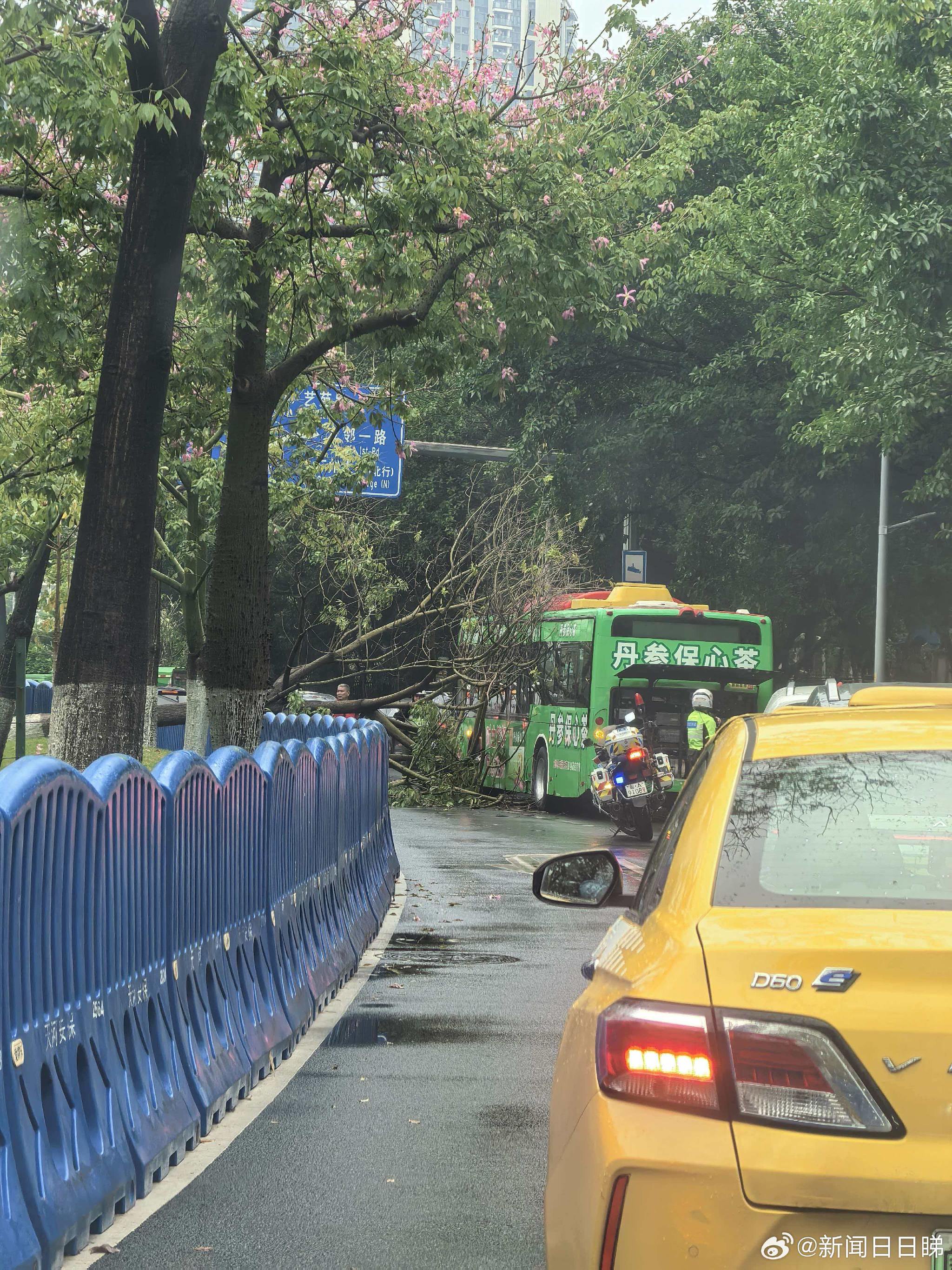 广州海珠艺洲路树倒擦碰公交封两车道