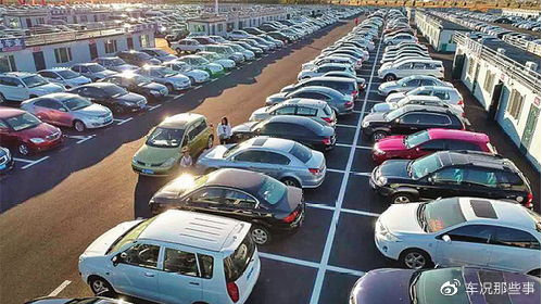 怎么查保养记录和出险记录，如何查二手车事故记录