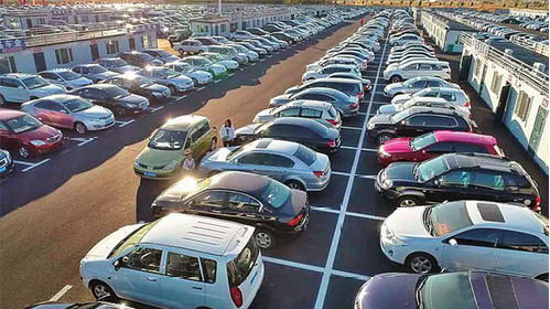 交强险保单在哪里可以查询，怎样查询我的交强险保单