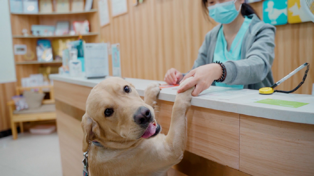 对新瑞鹏有什么看法（长期主义视角下，如何看待新瑞鹏-RPET的成长路径？）
