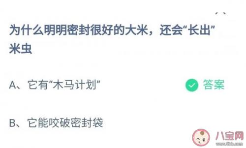 为什么明明密封很好的大米还会长出米虫?是因为有“木马计划”还是米虫咬破袋子 第1张 为什么明明密封很好的大米还会长出米虫?是因为有“木马计划”还是米虫咬破袋子 第1张