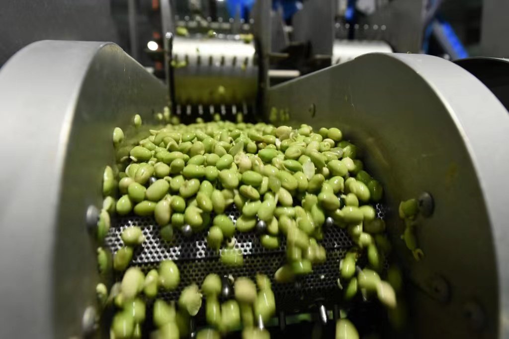 全面振兴沈阳行动丨一块豆腐卖出数亿元产业振兴蹚出乡村振兴路