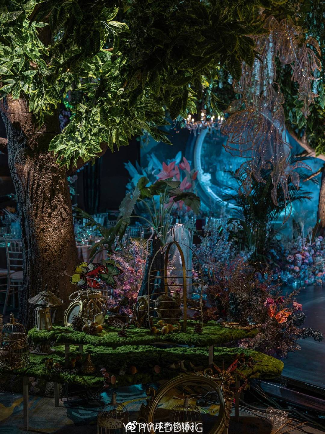 在婚礼现场的森林布景中加上星星点点灯光的点缀