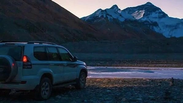 热点、社交、情绪……今年车企怎么卷出成绩的？