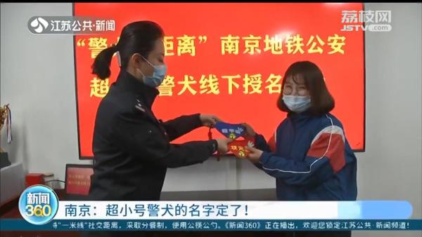 南京地铁超小号警犬正式授名:“状元豆 糖芋苗”,满满南京味休闲区蓝鸢梦想 - Www.slyday.coM 南京地铁超小号警犬正式授名:“状元豆 糖芋苗”,满满南京味休闲区蓝鸢梦想 - Www.slyday.coM