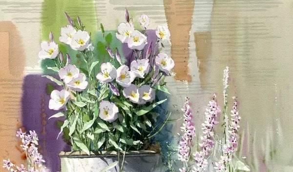 花卉绘：<a href=