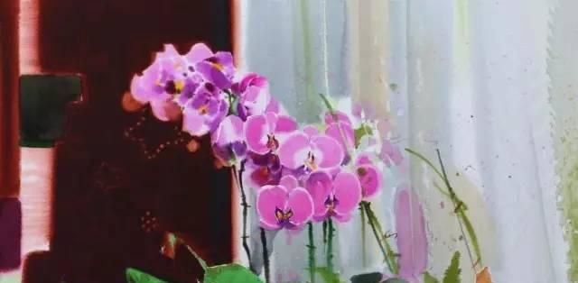 花卉绘：<a href=