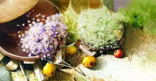 花卉绘：<a href=