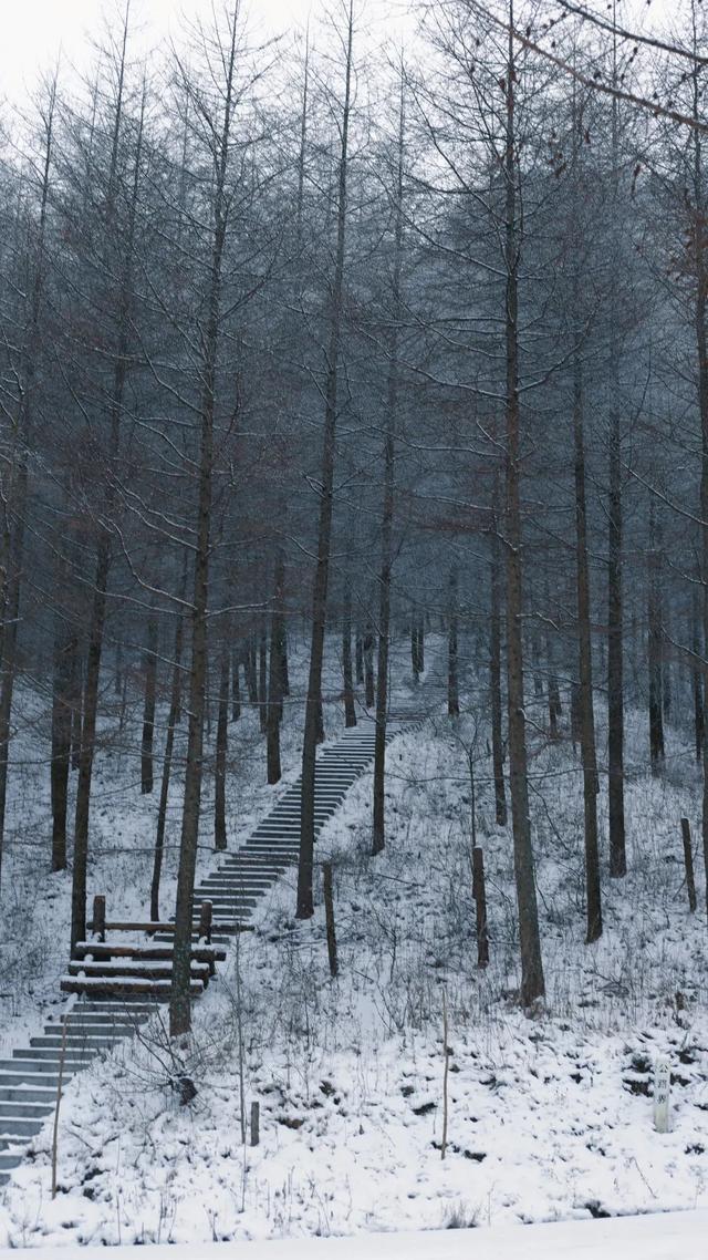 想滑雪?不必跨越南北!