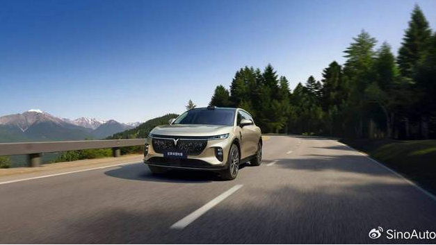 “毛坯房”终结者！全新岚图知音上市，20.29万起享豪华精装