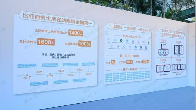勇夺2024年中国销冠，中国车企用产品和技术，征服世界