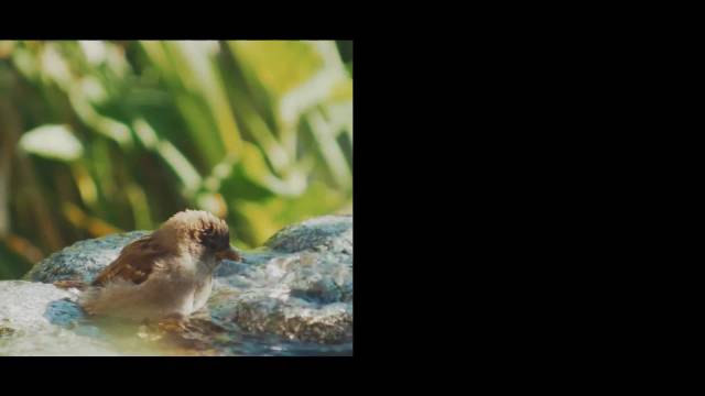 沃尔沃全新XC60恰到好处的守护！